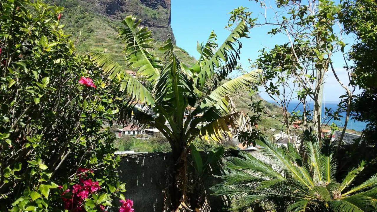 Villa House Pc Porto Da Cruz Esterno foto